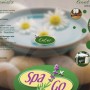Spa Go of Western New York